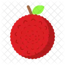 Lychee Fruit Food Icon