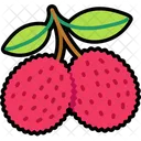 Lychee Two Lychee Fruit Icon