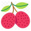 Lychee Fruit Healthy Icône