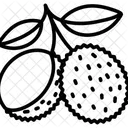 Lychee With Half Peeled  Icon