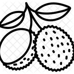 Lychee With Half Peeled  Icon