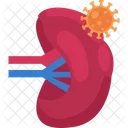 Lymph Lymph Virus Virus Icon