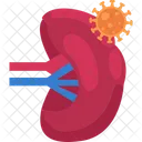 Lymph virus  Icon