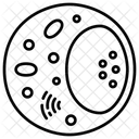 Lymphocyte White Blood Icône