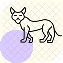 Lynx Icône