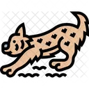 Lynx Bobcat Predator Icon
