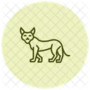 Lynx Icon