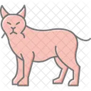 Lynx Icon