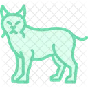 Lynx Animal Wildlife Icon