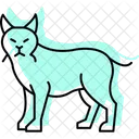Lynx Animal Wildlife Icon