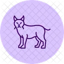 Lynx Animal Wildlife Icon