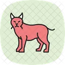 Lynx Animal Wildlife Icon