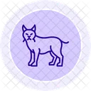 Lynx Animal Wildlife Icon