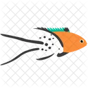 Lyretail hogfish  Icône