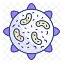 Lysosome Medical Cell Icon