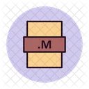File Type M File Format Icon