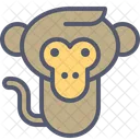 Macaco Bebe Icon