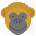 Sorriso De Macaco Icon