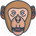 Macaco Icon