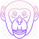 Macaco Icon