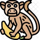 Macaco Vida Selvagem Selva Icon