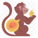 Macaco  Icon