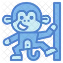 Macaco  Icon