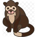 Macaco  Icon