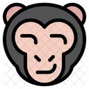 Macaco esperto  Ícone