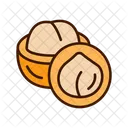 Macadamia Noz Casca Ícone