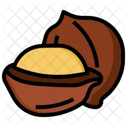 Macadamia  Icon
