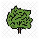 Macadamia Tree Jungle Icon