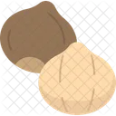 Macadamia Nut Kernel Icon