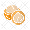 Macadamia Nut Shell Icon