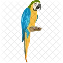Macaw Wildlife Bird 아이콘