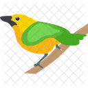 새 깃털 생물 잉꼬 아이콘