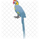 새 깃털 생물 잉꼬 아이콘