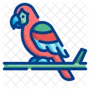 Macaw Parrot Zoo Icon