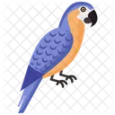 Macaw Icon