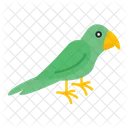 Bird Parrot Animal Icon