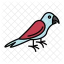 Bird Parrot Animal Icon