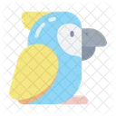 Macaw Bird  Icon