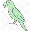 Macaw Bird Parrot Icon