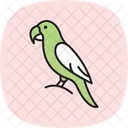 Macaw Bird Parrot Icon