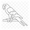 Macaw  Icon