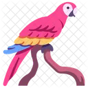 Macaws Macaw Parrot Icon