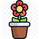 Maceta Maceta Decoracion Icono