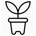 Maceta  Icono
