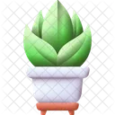 Maceta Planta Naturaleza Icono
