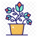 Maceta Flor Maceta Icono